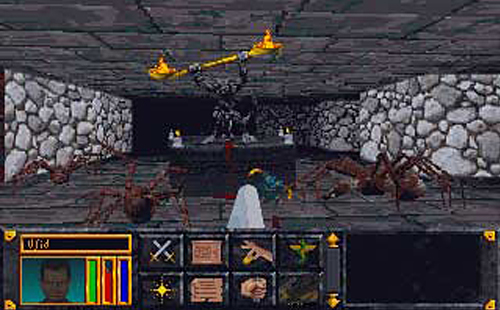 A picture of The Elder Scrolls: Arena